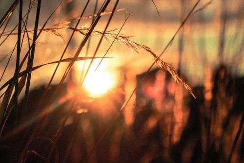 photo-1443632826930-7e5bc4aa7fa0