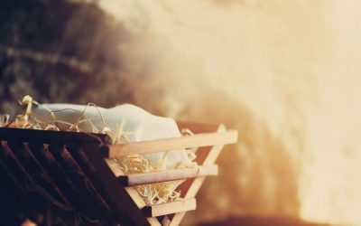 The Glory of Christ