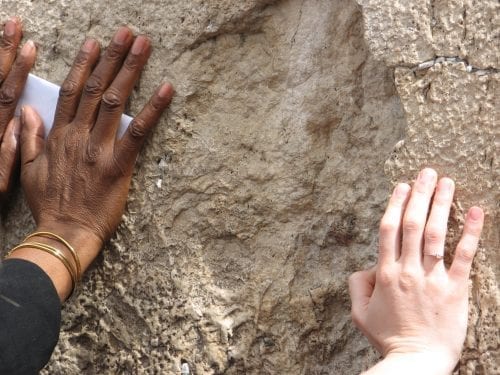 Praying hands at the Wailing Wall