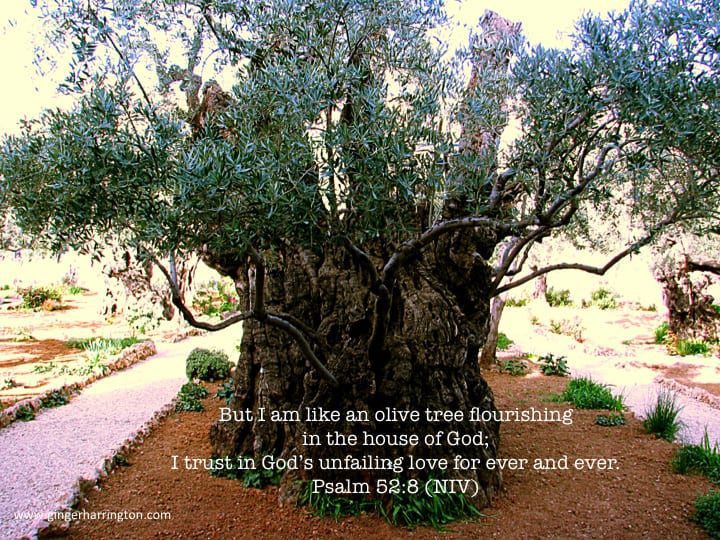 When God Speaks…