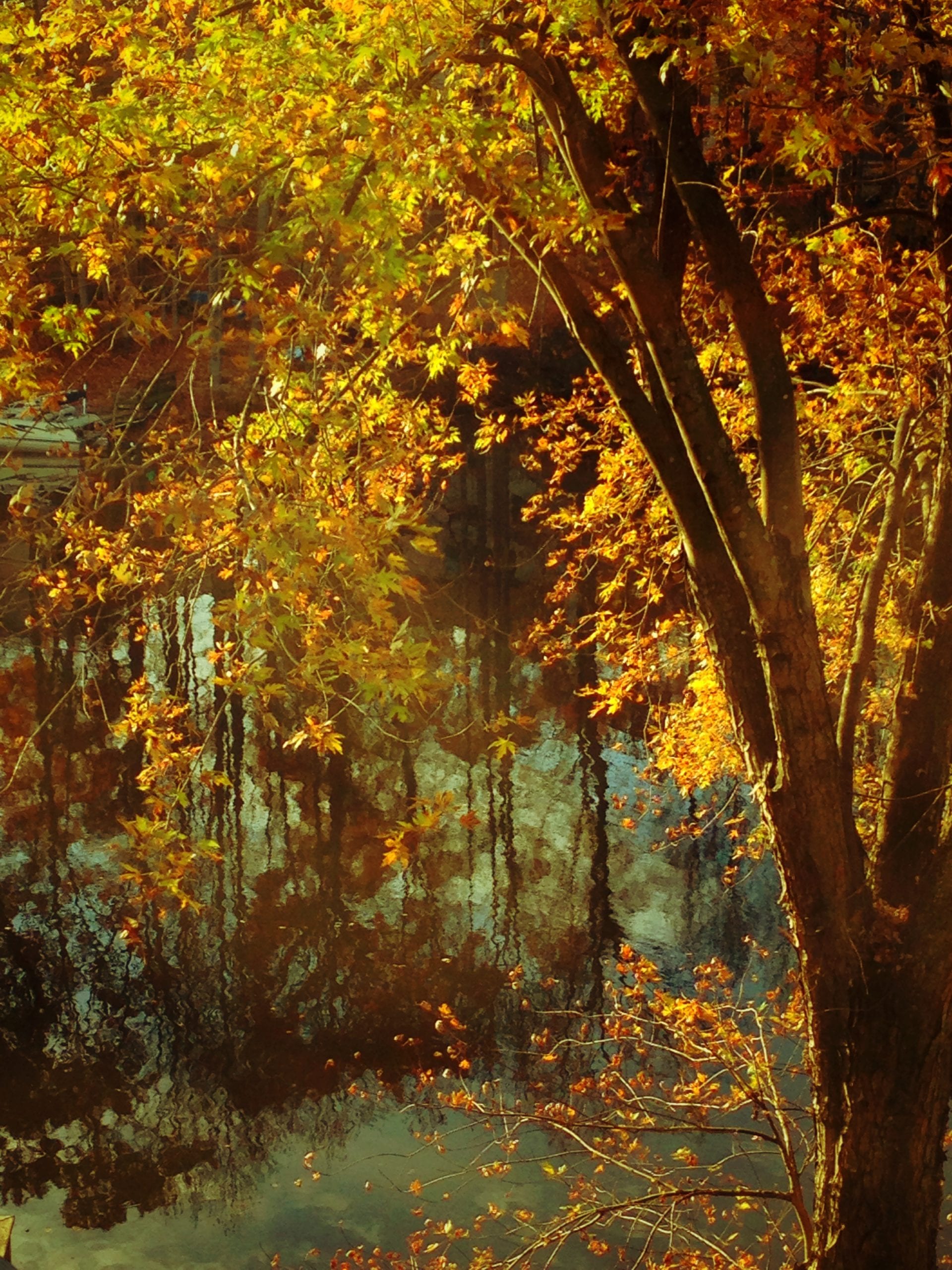 The Wonder of Autumn: Embracing God’s Glory-Gift of Fall