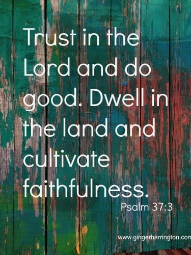 Psalm 37:3