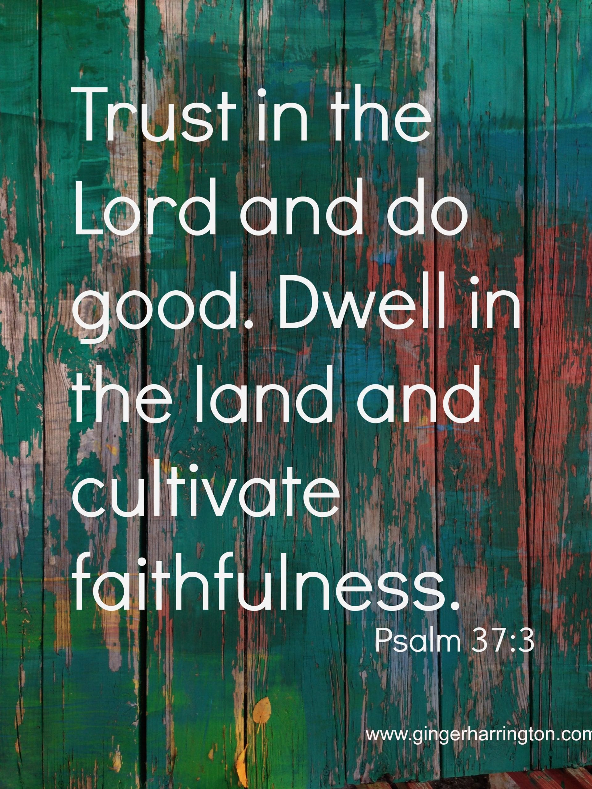 How to Make the Most of Each Day: Dwell and Cultivate, Part 1