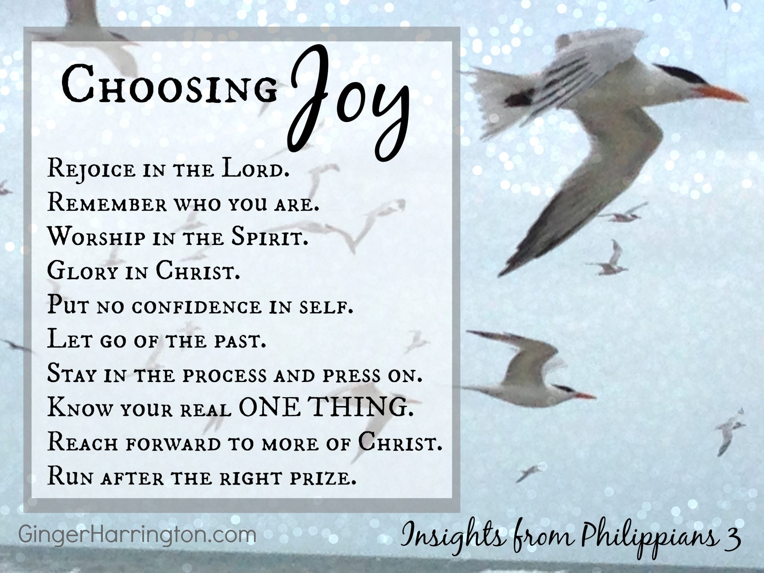 Joy’s One Thing: Have You Got It?