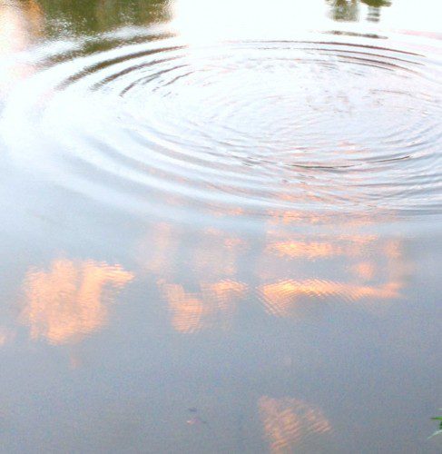Ripples 3