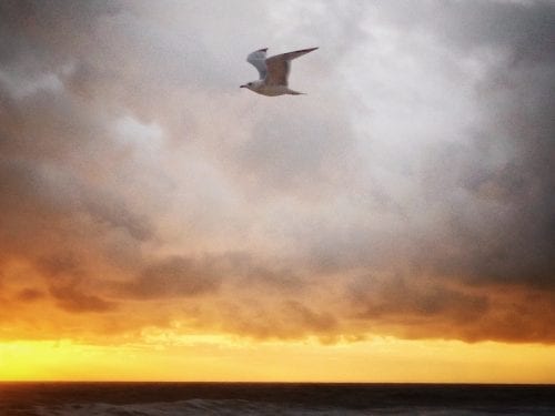 When it's time to let go of our children,