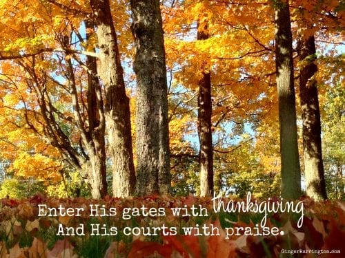 Praise God, Thanksgiving