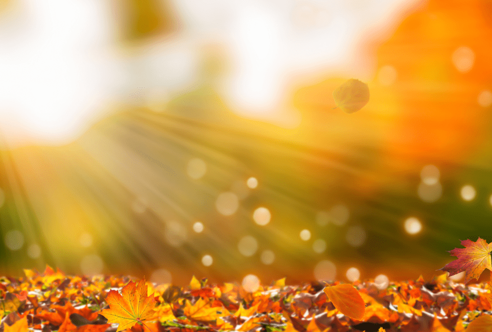 Gratitude Matters: 10 Truths and Tips for a Grateful Life
