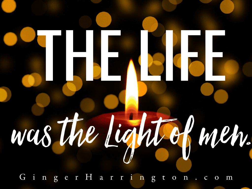 Christmas devotion to light up the dark. 