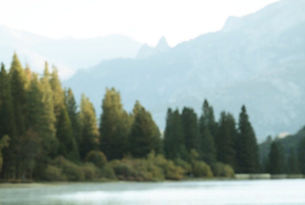 Why You  Should Trust Jesus for the Rest You Need