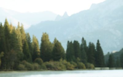 Why You Should Trust Jesus for the Rest You Need