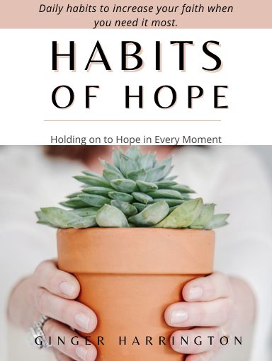 Holy in the Moment Selah Award Finalist