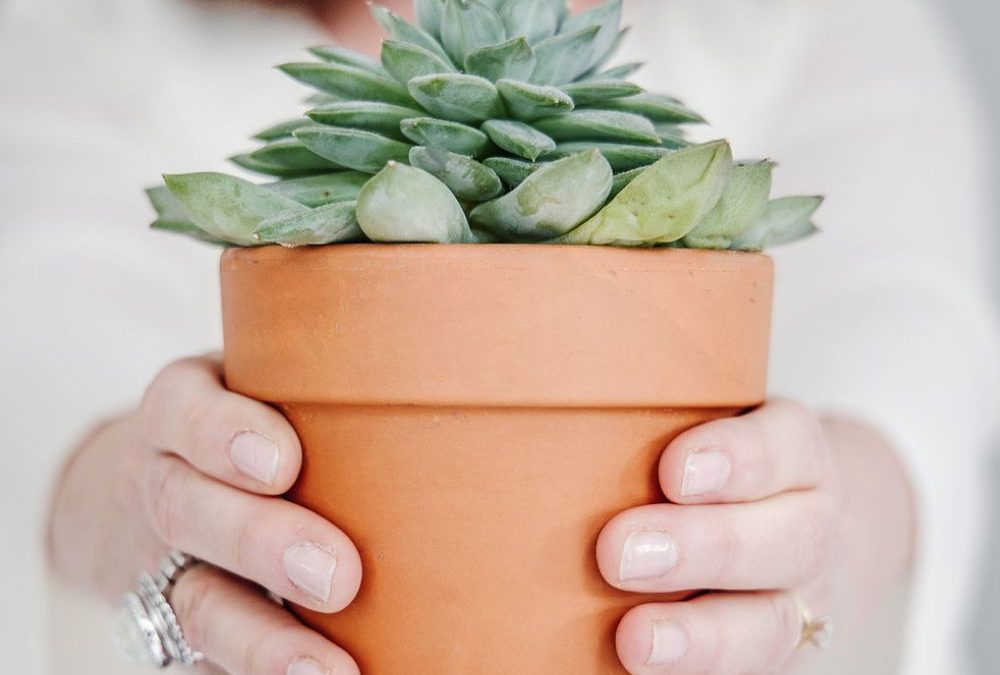 5 Tips to Reset Healthy Habits for Spirit, Soul & Body