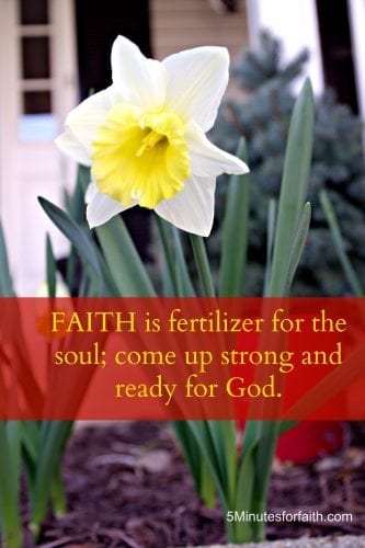 Faith is fertilizer for the soul.jpg