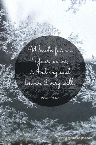 Psalm 13914 Snowflakes