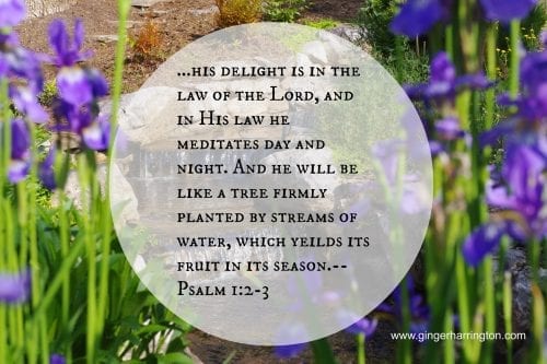 Psalm 12-3.jpg