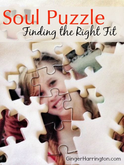Soul Puzzle: Finding the Right Fit