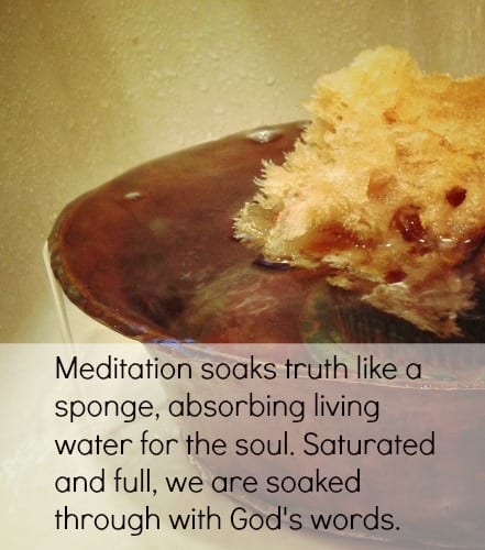 Natural sponge saturated with water is background for a quote comparing Bible meditation on truth with a sponge absorbing water.