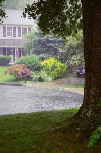 Rain in the street