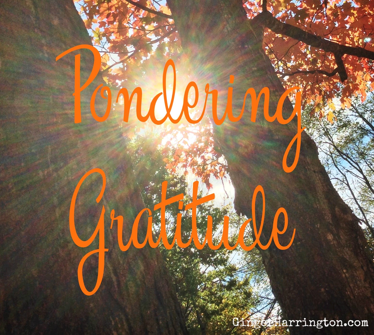 Pondering Gratitude