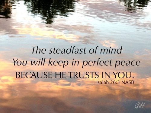 Need a little peace? Step away from the busy and capture a few insights on peace to settle your soul and refresh your faith.