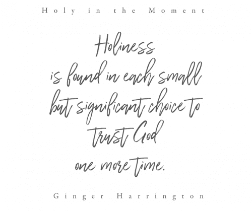 Packed with truths, ideas, and stories, Holy in the Moment will encourage women to make the practical and holy choice to rely on Christ in the moment.