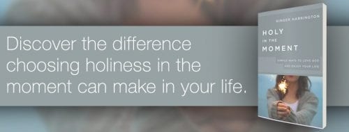 Discover the practical difference holiness makes. Holy in the Moment by Ginger Harrington.