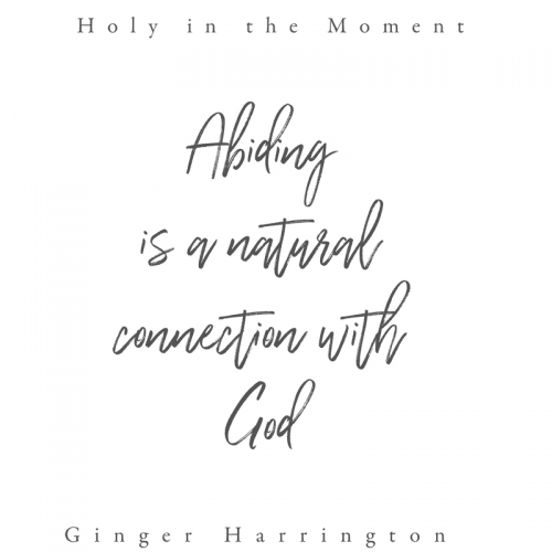 Abiding is a natural connection with God. Choosing to abide, surrender, and rest opens the door to abundant  life in Christ