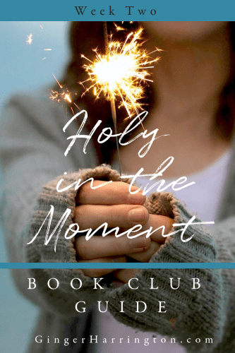 Join us for Week 2 of the Holy in the Moment Online Book Club at GingerHarrington.com. Holy moments are yours for the choosing. Today we're talking about abiding, surrendering, and resting--chapters 4-6 of the award-winning book by Ginger Harrington.