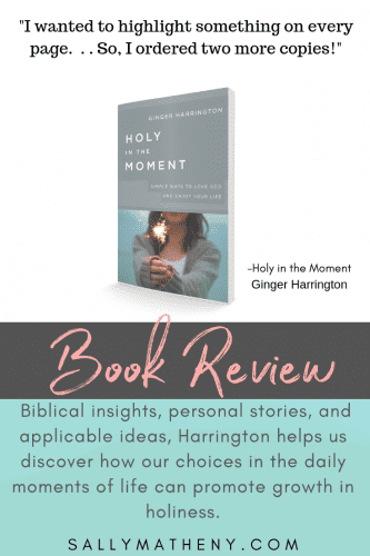 Book cover of Holy in the Moment with quote from reviewer, Sally Matheny.