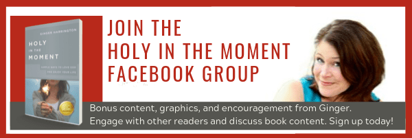 The Holy in the Moment Community is where we are encouraging each other to trust God in the moment. Join award-winning author, Ginger Harrington, as develop holy habits for overcoming anxiety, insecurity, and perfectionism. Grab a copy of the book and request to join today! #holyinthemoment #christiangrowth #identityinchrist #overcomeanxiety #overcomeinsecurity #overcomeperfectionism