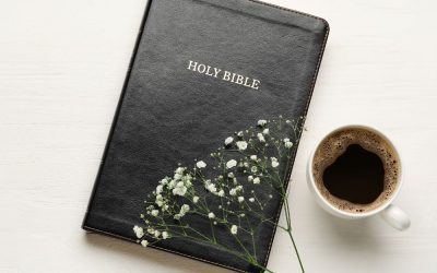 Build a Consistent Quiet Time: How to Delight in God’s Word Every Day