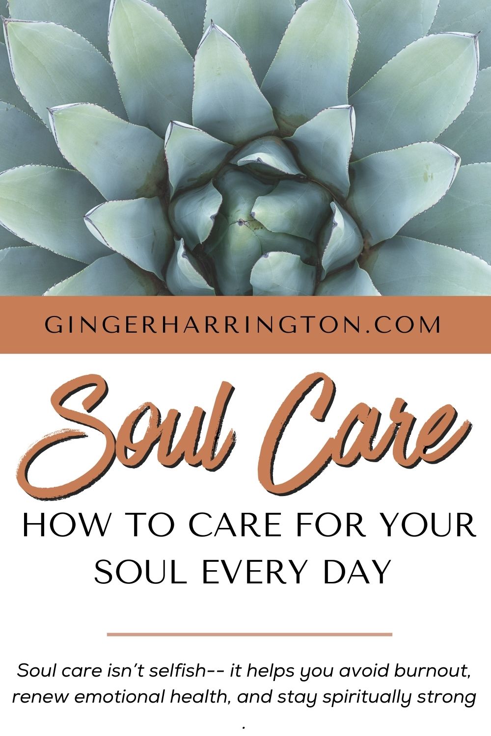 Close up of green succulent plant illustrates title of article on why Soul Care is important.
