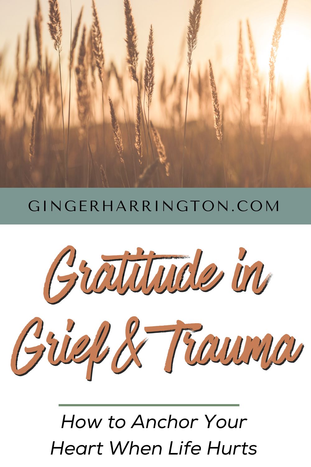 An image of golden wheat in soft morning light with the text “Gratitude in Grief & Trauma: How to Anchor Your Heart When Life Hurts” from GingerHarrington.com. A faith-based encouragement graphic for a blog post about practicing gratitude in seasons of grief, trauma, and emotional pain.